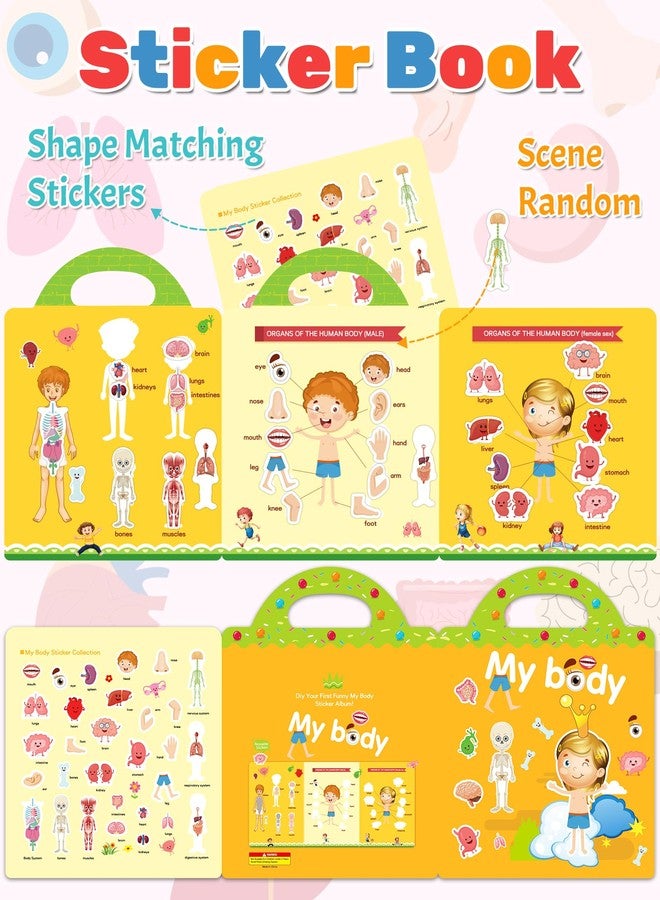 Benresive Reusable Sticker Books for Toddlers, Fun Travel Stickers for Kids, Toddler Sticker Book, Crafts Activities for Toddlers, 3 and Up Birthady Gifts - My Body - Image 2